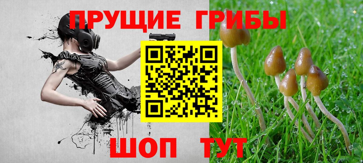 Псилоцибиновые грибы Psilocybine cubensis Первоуральск