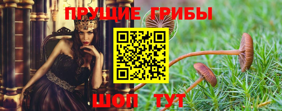 Первоуральск  Галлюциногенные грибы прущие грибы  купить наркоту  Псилоцибиновые грибы Psilocybe  Вход с VPN 